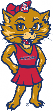 Arizona Wildcats 2003-2012 Mascot Logo 03 Sticker Heat Transfer