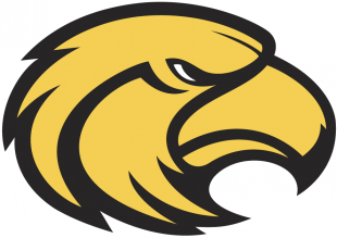 Southern Miss Golden Eagles 2003-2014 Secondary Logo Sticker Heat Transfer