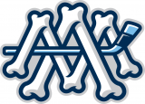 Milwaukee Admirals 2015 16-Pres Alternate Logo 2 decal sticker
