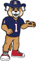 Arizona Wildcats 2013-Pres Mascot Logo 02 decal sticker