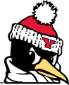 Youngstown State Penguins 1993-Pres Alternate Logo 06 Sticker Heat Transfer