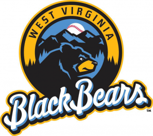 West Virginia Black Bears 2015-Pres Primary Logo Sticker Heat Transfer