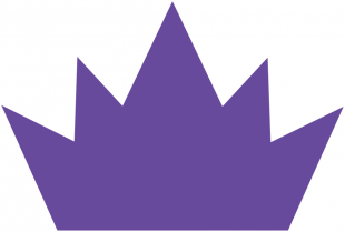 Sacramento Kings 2014-2015 Alternate Logo 2 decal sticker