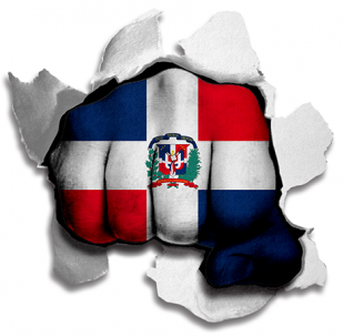 Fist Dominican Republic Flag Logo Sticker Heat Transfer