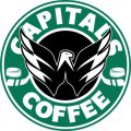 Washington Capitals Starbucks Coffee Logo Sticker Heat Transfer