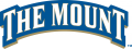 Mount St. Marys Mountaineers 2004-Pres Wordmark Logo 01 Sticker Heat Transfer