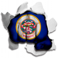 Fist Minnesota State Flag Logo decal sticker