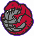 Toronto Raptors 1995-1998 Alternate Logo decal sticker