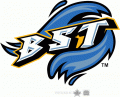 Bridgeport Sound Tigers 2001-2005 Alternate Logo Sticker Heat Transfer