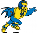 Delaware Blue Hens 1999-Pres Mascot Logo 04 decal sticker