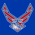 Airforce New York Rangers Logo decal sticker