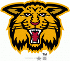 Moncton Wildcats 1998 99-2002 03 Alternate Logo Sticker Heat Transfer