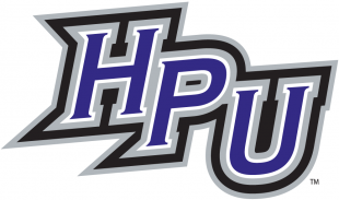 High Point Panthers 2004-Pres Alternate Logo 03 decal sticker
