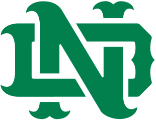 Notre Dame Fighting Irish 1994-Pres Alternate Logo 16 Sticker Heat Transfer