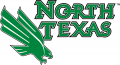 North Texas Mean Green 2005-Pres Primary Logo decal sticker