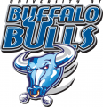 Buffalo Bulls 1997-2006 Alternate Logo decal sticker