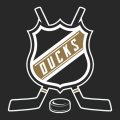 Hockey Anaheim Ducks Logo Sticker Heat Transfer