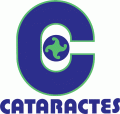 Shawinigan Cataractes 1978 79-1989 90 Primary Logo decal sticker