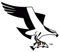 Missoula Osprey 1999-Pres Alternate Logo decal sticker