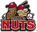 Modesto Nuts 2005-Pres Primary Logo Sticker Heat Transfer