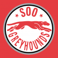 Sault Ste. Marie Greyhounds 1998 99-2008 09 Alternate Logo decal sticker