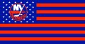 New York Islanders Flag001 logo decal sticker