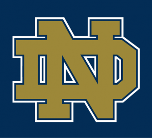 Notre Dame Fighting Irish 1994-Pres Alternate Logo 06 decal sticker