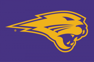 Northern Iowa Panthers 2002-2014 Partial Logo 02 decal sticker