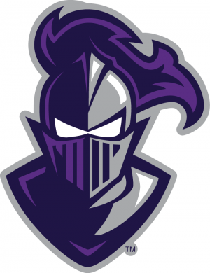 Furman Paladins 2013-Pres Alternate Logo decal sticker