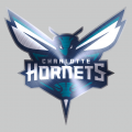 Charlotte Hornets Stainless steel logo Sticker Heat Transfer