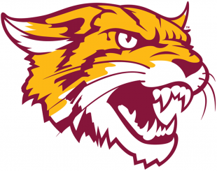 Bethune-Cookman Wildcats 2016-Pres Alternate Logo decal sticker