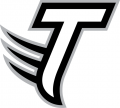 Towson Tigers 2004-Pres Alternate Logo 06 decal sticker