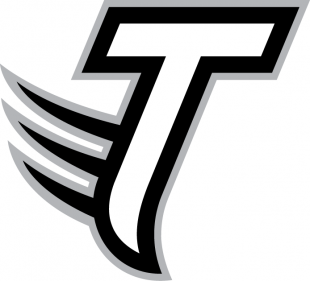 Towson Tigers 2004-Pres Alternate Logo 06 Sticker Heat Transfer