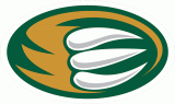 Everett Silvertips 2003 04-Pres Alternate Logo decal sticker