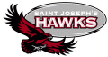 St.JosephsHawks 2001-Pres Alternate Logo 03 Sticker Heat Transfer