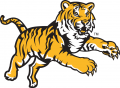 LSU Tigers 2002-2010 Alternate Logo Sticker Heat Transfer