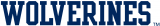Michigan Wolverines 2000-Pres Wordmark Logo 02 Sticker Heat Transfer