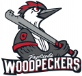 Fayetteville Woodpeckers 2019-Pres Primary Logo decal sticker