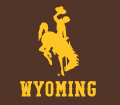 Wyoming Cowboys 2013-Pres Alternate Logo 01 Sticker Heat Transfer