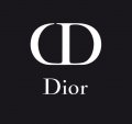 Dior brand logo 01 decal sticker