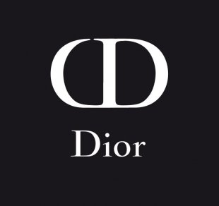 Dior brand logo 01 decal sticker