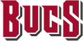 Tampa Bay Buccaneers 2020-Pres Wordmark Logo 03 decal sticker