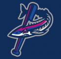 Pensacola Blue Wahoos 2012-Pres Cap Logo 2 Sticker Heat Transfer