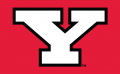 Youngstown State Penguins 1993-Pres Alternate Logo decal sticker