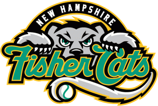 New Hampshire Fisher 2008-2010 Primary Logo Sticker Heat Transfer