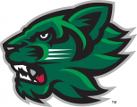 Binghamton Bearcats 2001-Pres Secondary Logo decal sticker