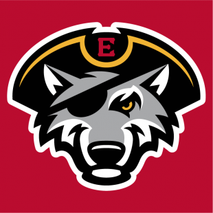 Erie SeaWolves 2013-Pres Cap Logo 3 decal sticker