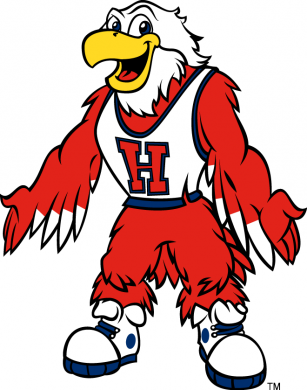 Hartford Hawks 1995-Pres Mascot Logo Sticker Heat Transfer