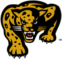 IUPUI Jaguars 1998-2007 Secondary Logo 02 decal sticker