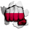 Fist Poland Flag Logo decal sticker